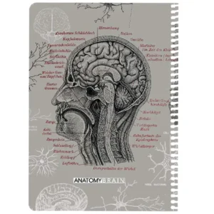 دفتر مشق 100 برگ دات مدل scientist brain