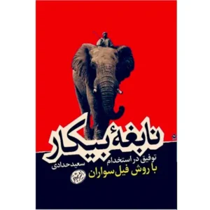 کتاب نابغه بیکار اثر سعید حدادی