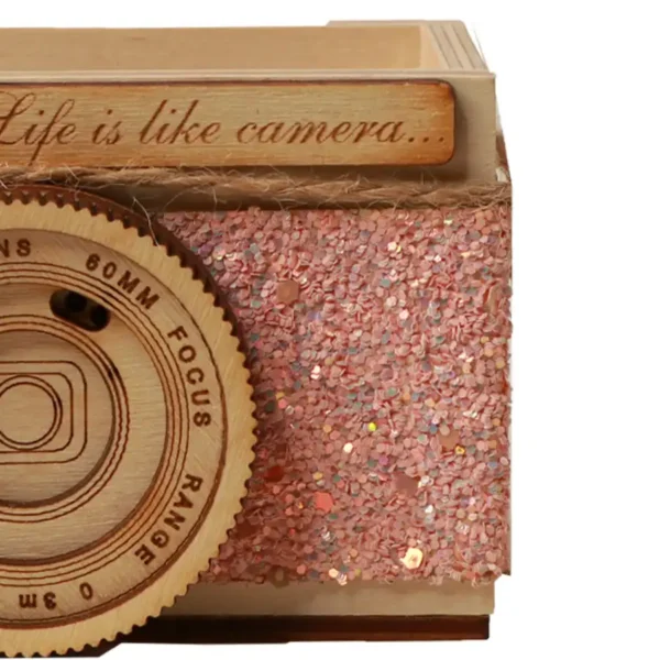 Wooden camera model