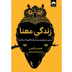 کتاب زندگیِ معنا اثر جیمز هالیس