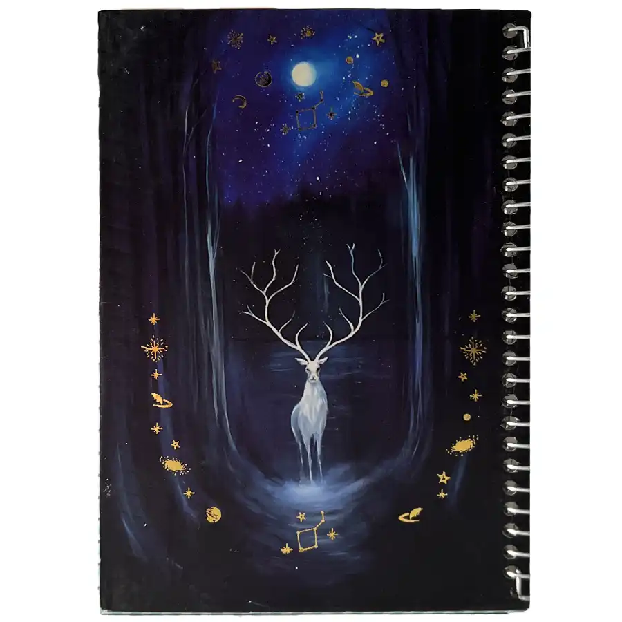 Notebook 100 sheets King model 3512