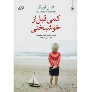 کتاب کمی قبل از خوشبختی  اثر انیس لودیگ