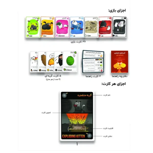 Hazelnut brain game, model of explosive cats