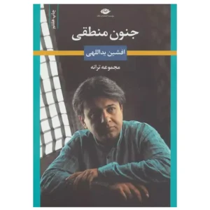 کتاب جنون منطقی اثر افشین یداللهی