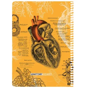 دفتر مشق 100 برگ دات مدل scientist heart