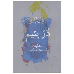 کتاب در یتیم خشکیدن آب دهان عنکبوت اثر محمود دولت آبادی