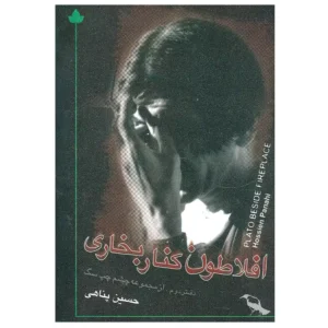 کتاب افلاطون کنار بخاری اثر حسین پناهی