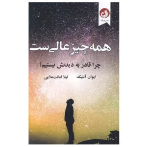 کتاب همه چیز عالیست اثر ایوان آنتیک