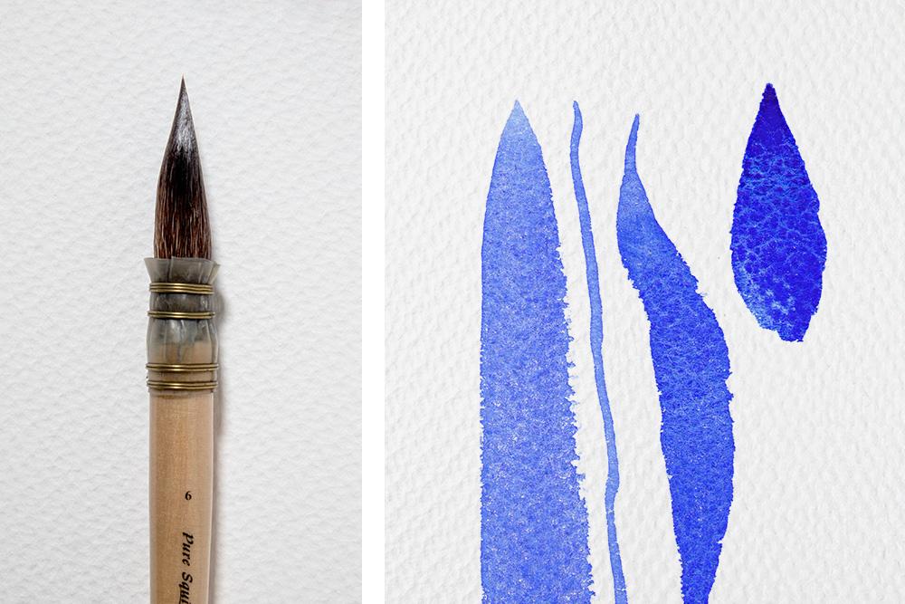 قلم‌موی کوییل (Quill)