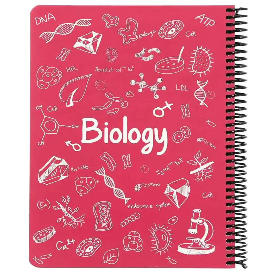 100-sheet dot note exercise book