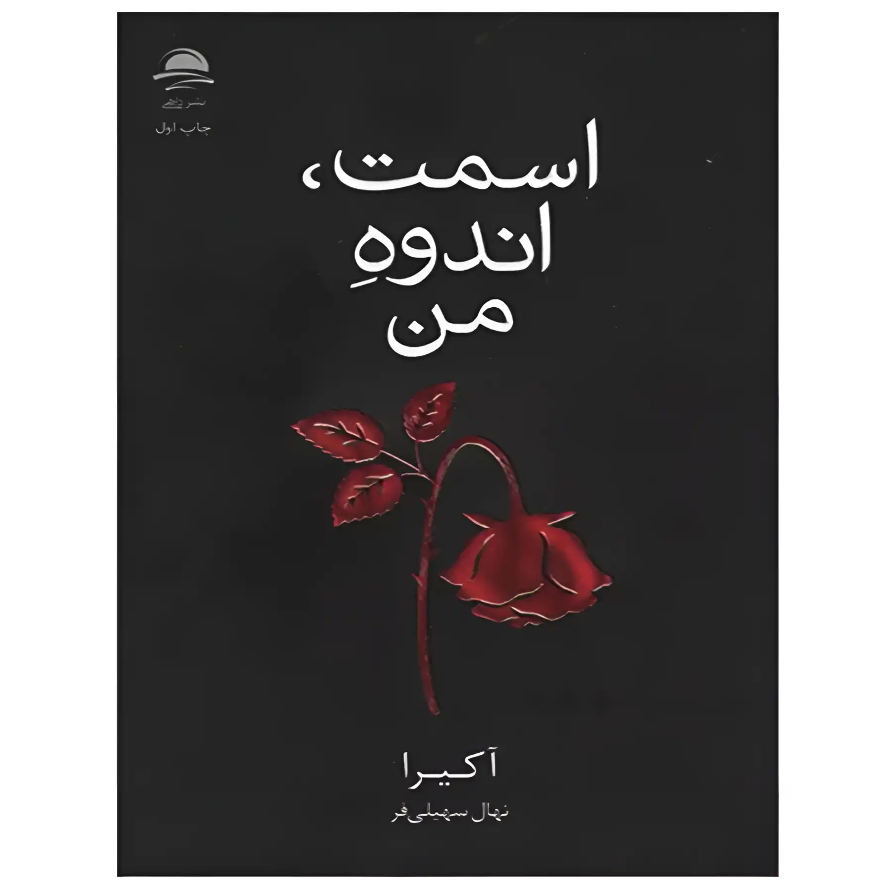 the-book-your-name-my-sorrow-by-akira