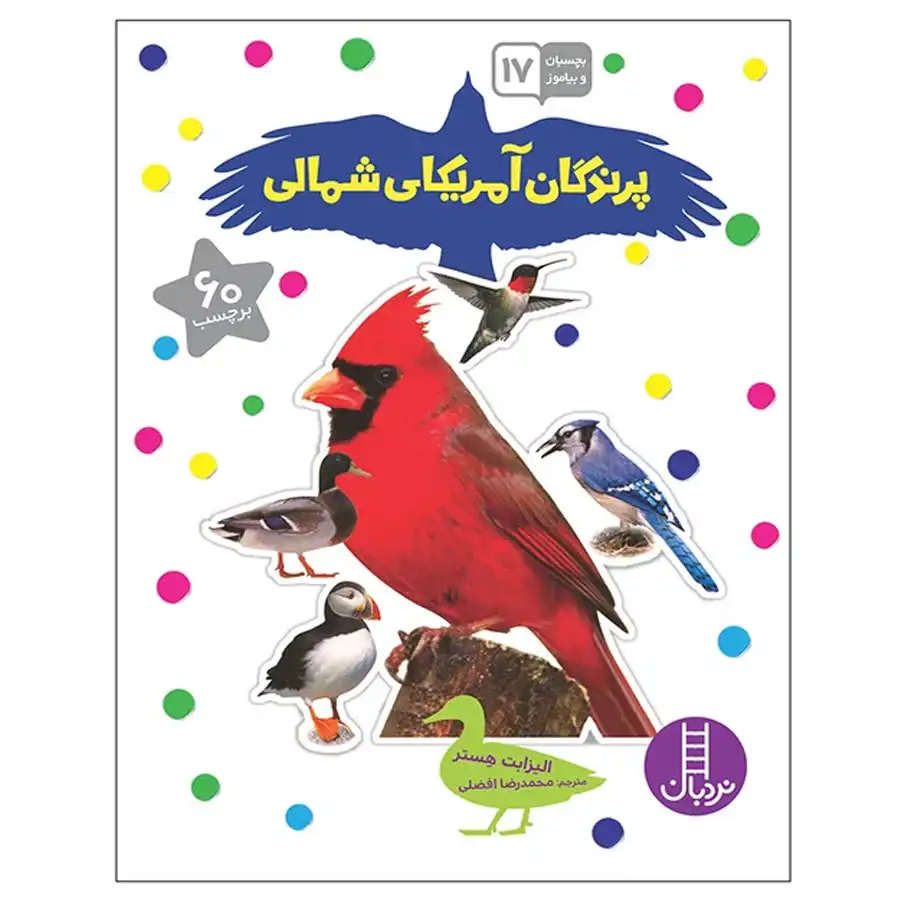 stick-and-learn-book-18-birds-of-north-america