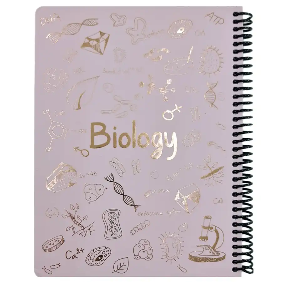 100-sheet dot notebook