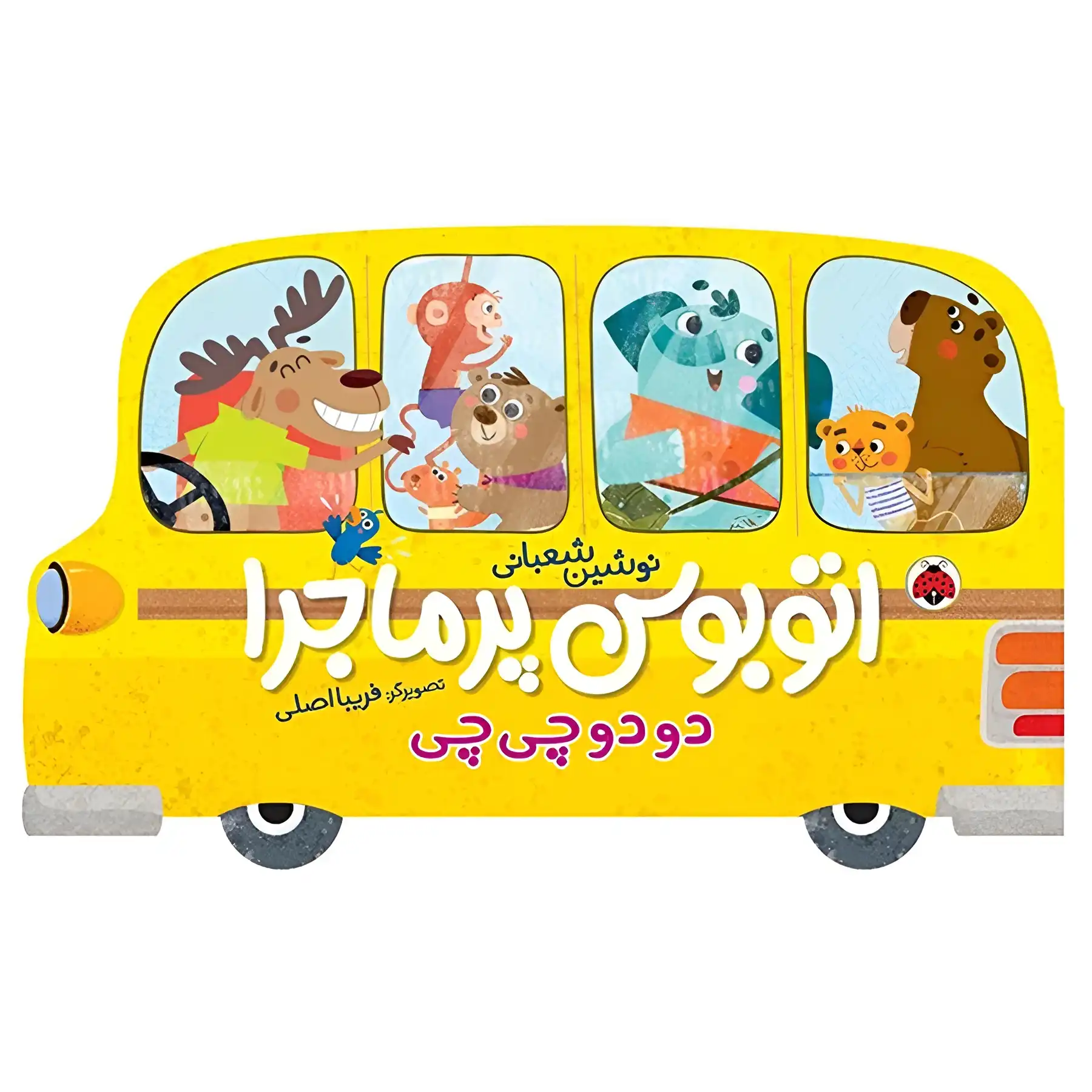 Adventure bus