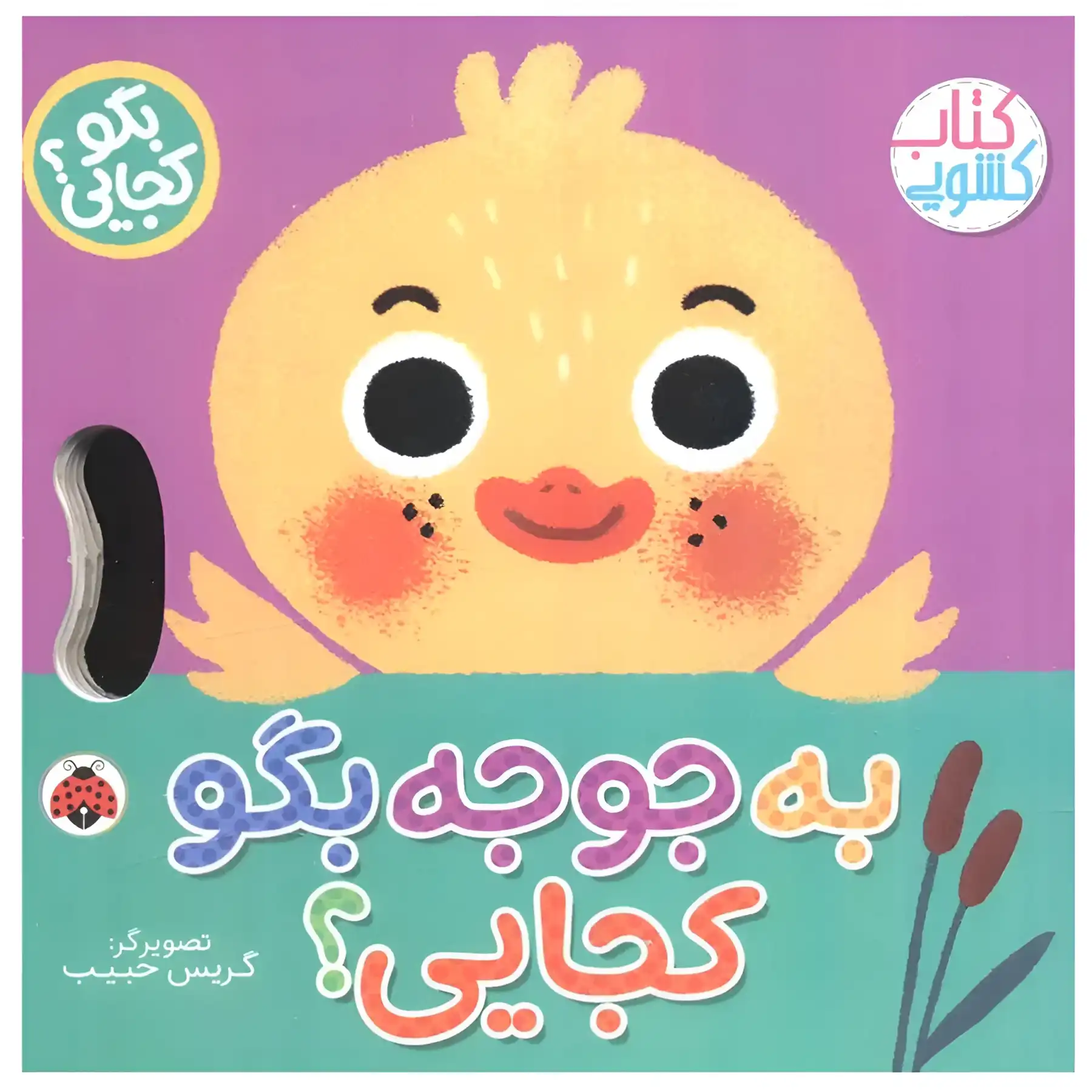 The book Basic Concepts of Preschool by Zahra Kiani Daru