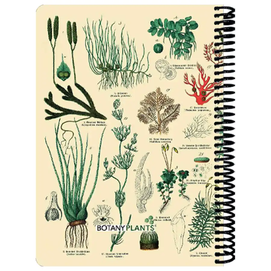 Workbook of 100 sheets